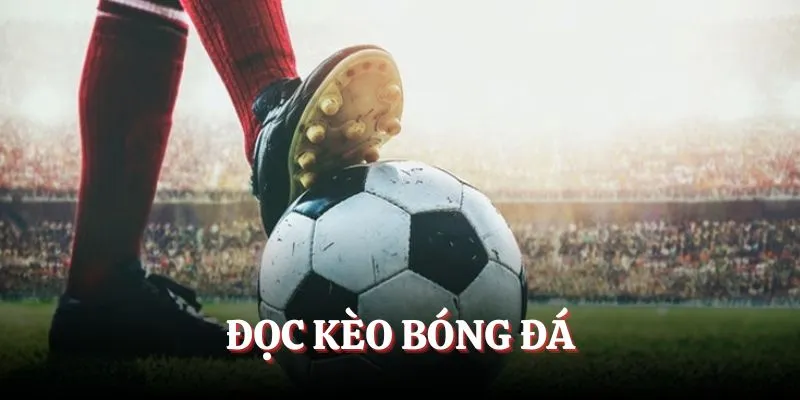 Đọc kèo bóng đá ww88
