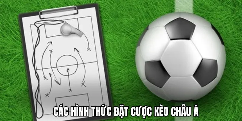 Kèo Châu Á - Thử Thách “Xuống Xác” Cá Độ Bóng Đá 2025 3 Những loại kèo Châu Á được nhiều hội viên ưu ái